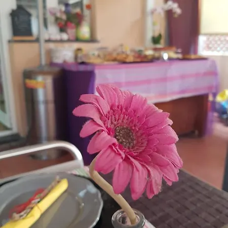 Nocleg ze śniadaniem Ghiro Ghiotto