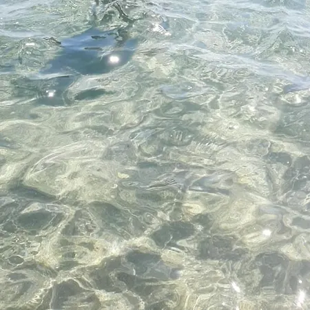 Ghiro Ghiotto Pietra Ligure