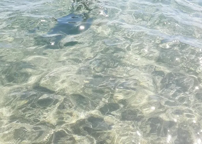 Ghiro Ghiotto Pietra Ligure